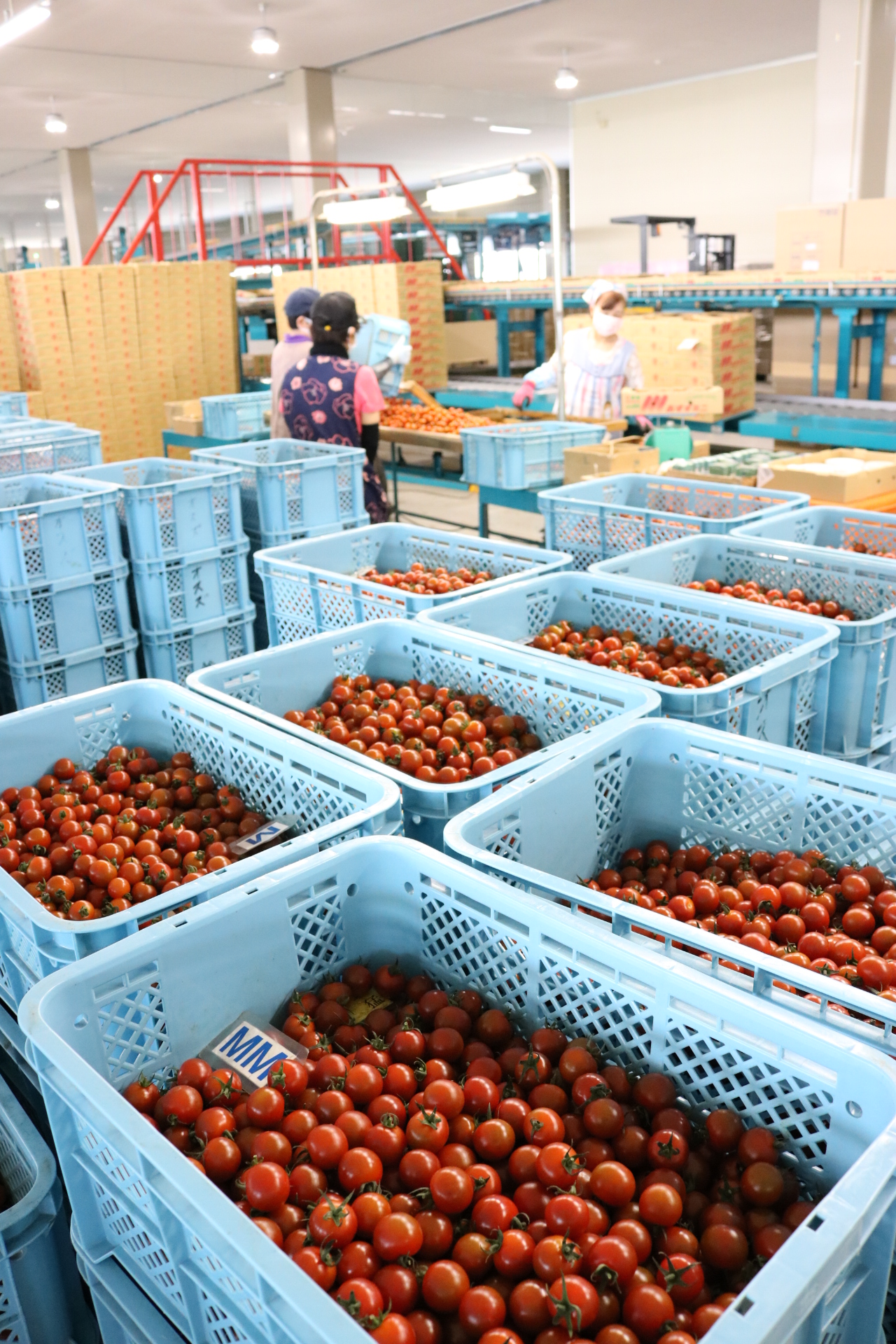 a370c2c27a6600bf5b1c01680b6027