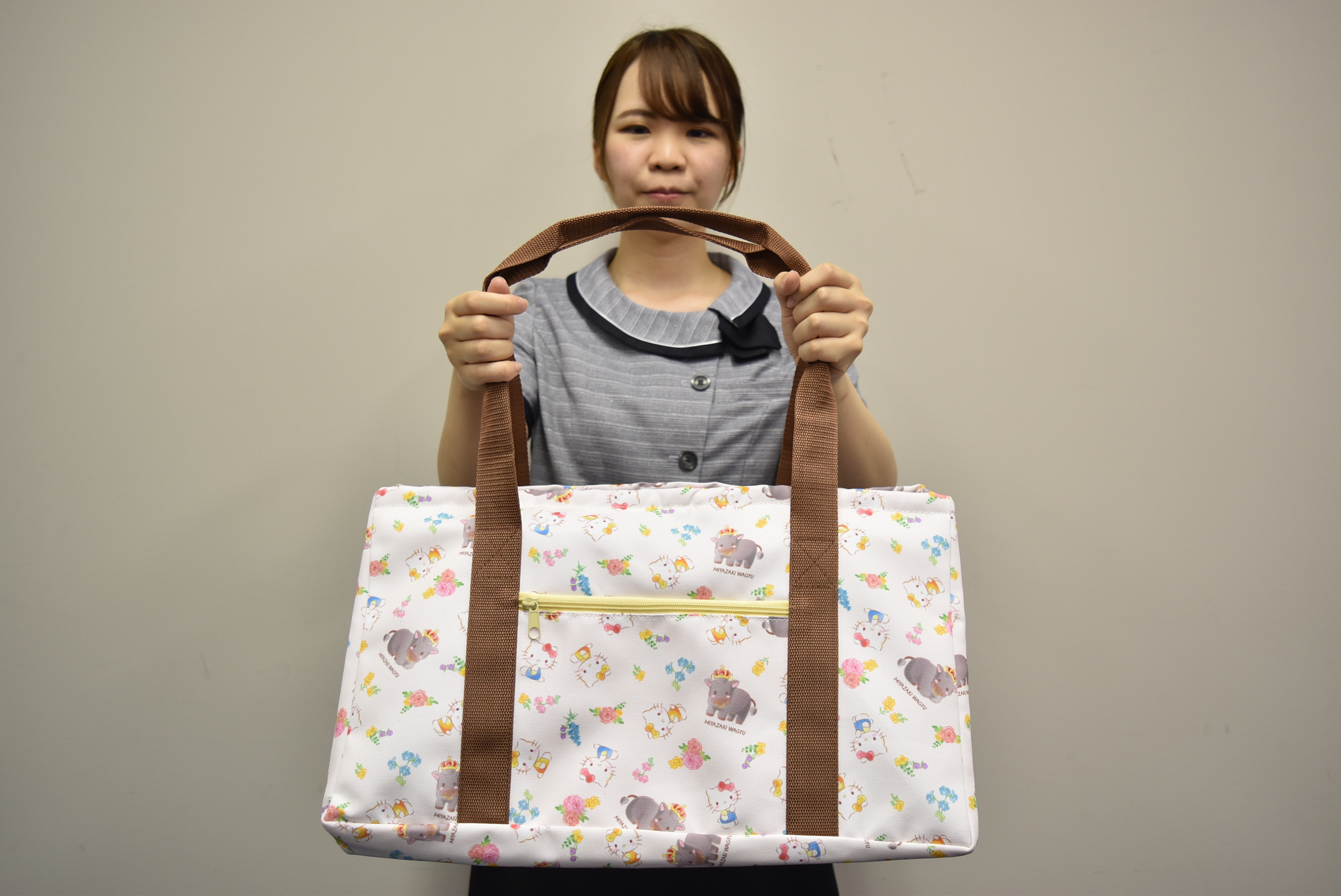 宮崎牛×ハローキティキャンペーン／26日からスタート | JA宮崎中央会